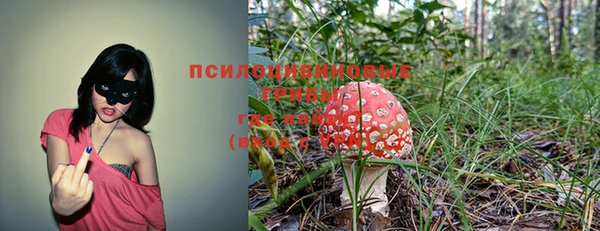 марки nbome Няндома