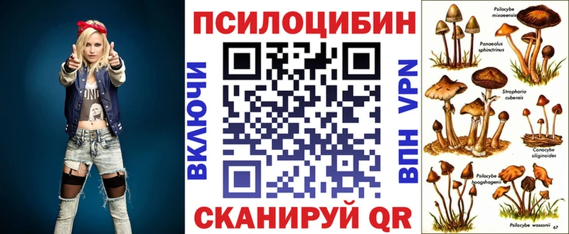 Галлюциногенные грибы Magic Shrooms  Любим 