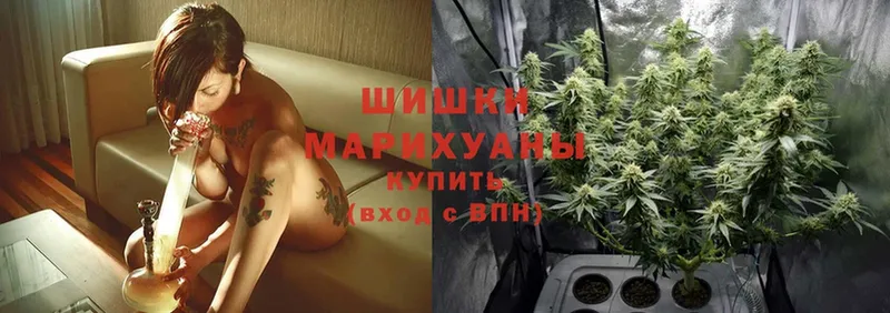 где купить   Любим  Бошки Шишки LSD WEED 