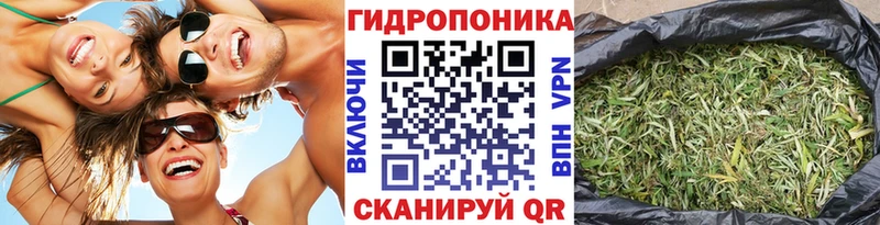 Каннабис конопля  Любим 